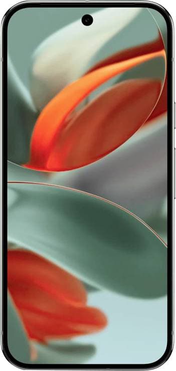 Google Pixel 9 Pro - Bild 1